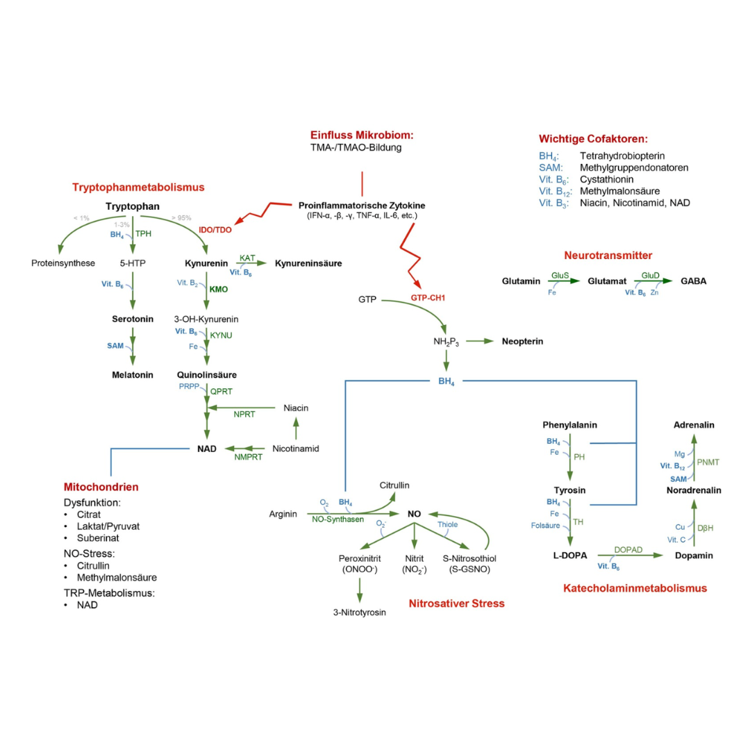 Fachdiagramm