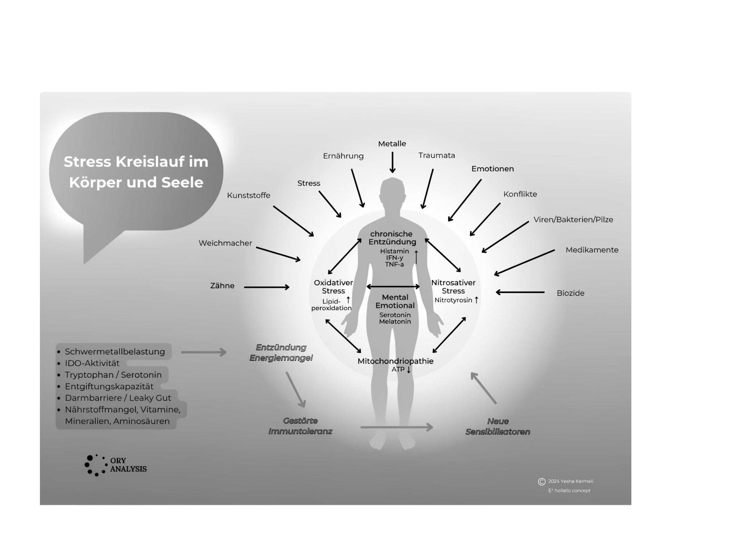 Stress-Kreislauf im Körper und Seele — ORY Berlin Funktionelle Medizin
